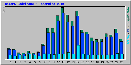 Raport Godzinowy -  czerwiec 2015