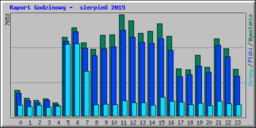Raport Godzinowy -  sierpie 2015