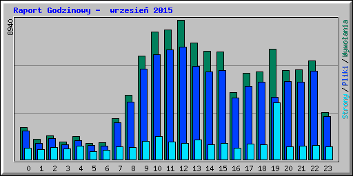 Raport Godzinowy -  wrzesie 2015