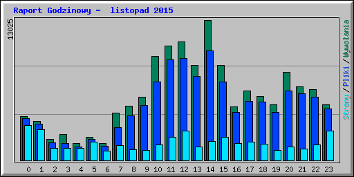 Raport Godzinowy -  listopad 2015