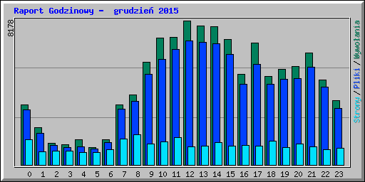 Raport Godzinowy -  grudzie 2015
