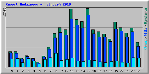 Raport Godzinowy -  stycze 2016