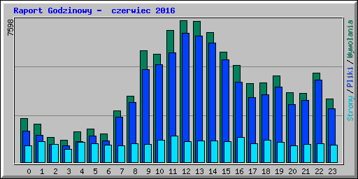 Raport Godzinowy -  czerwiec 2016