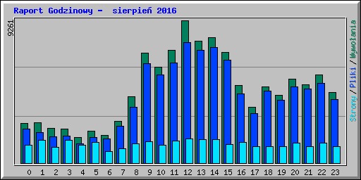 Raport Godzinowy -  sierpie 2016