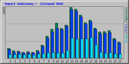 Raport Godzinowy -  listopad 2016