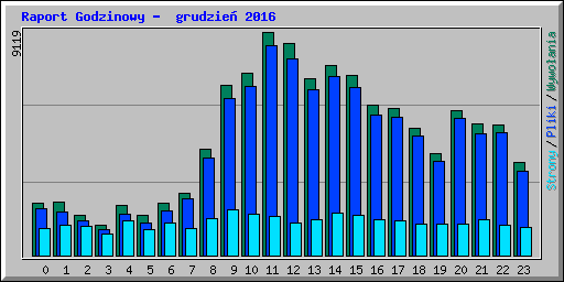 Raport Godzinowy -  grudzie 2016
