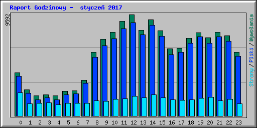 Raport Godzinowy -  stycze 2017