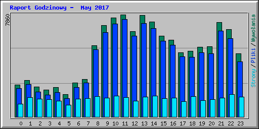 Raport Godzinowy -  May 2017