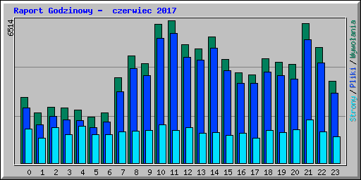 Raport Godzinowy -  czerwiec 2017