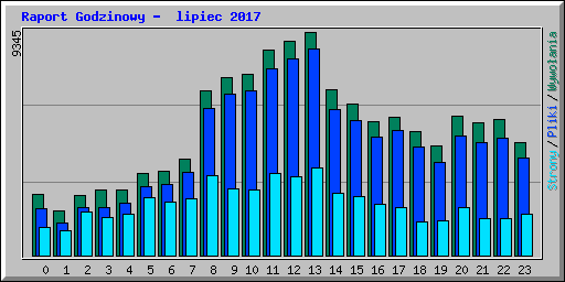 Raport Godzinowy -  lipiec 2017