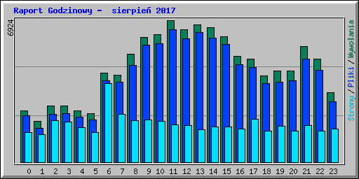Raport Godzinowy -  sierpie 2017