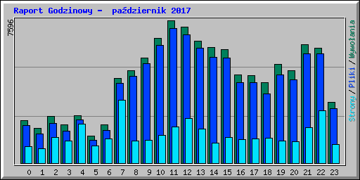 Raport Godzinowy -  padziernik 2017