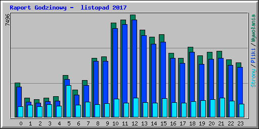 Raport Godzinowy -  listopad 2017