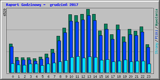 Raport Godzinowy -  grudzie 2017