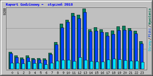 Raport Godzinowy -  stycze 2018