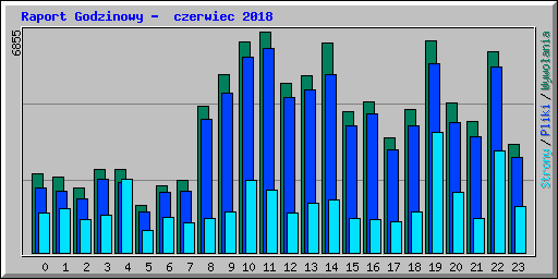 Raport Godzinowy -  czerwiec 2018