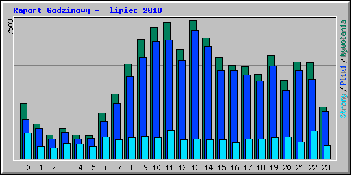 Raport Godzinowy -  lipiec 2018