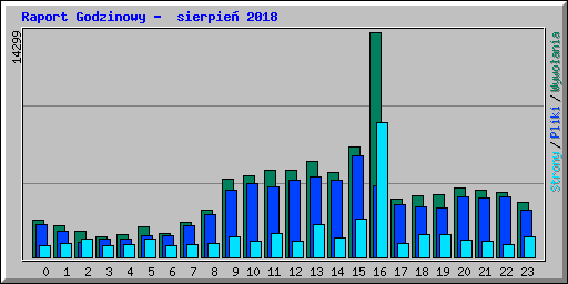 Raport Godzinowy -  sierpie 2018