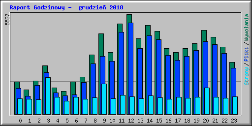 Raport Godzinowy -  grudzie 2018