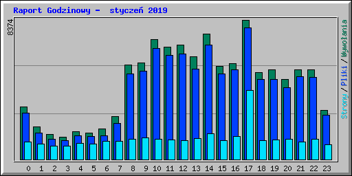 Raport Godzinowy -  stycze 2019