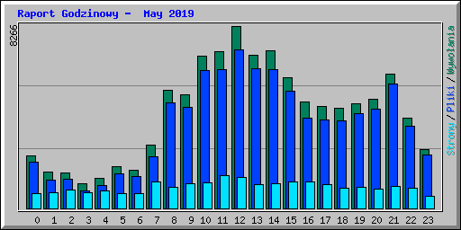 Raport Godzinowy -  May 2019