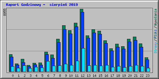 Raport Godzinowy -  sierpie 2019