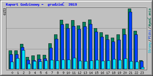 Raport Godzinowy -  grudzień 2019