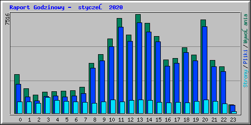 Raport Godzinowy -  styczeń 2020