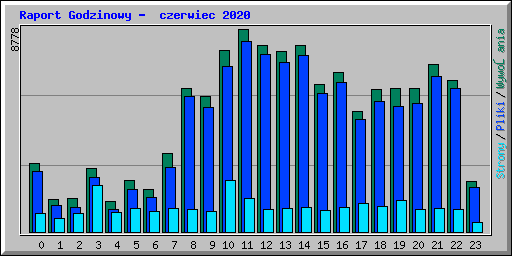 Raport Godzinowy -  czerwiec 2020