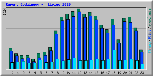 Raport Godzinowy -  lipiec 2020