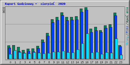 Raport Godzinowy -  sierpień 2020