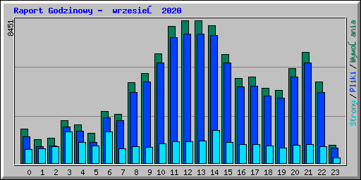 Raport Godzinowy -  wrzesień 2020