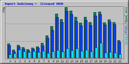 Raport Godzinowy -  listopad 2020