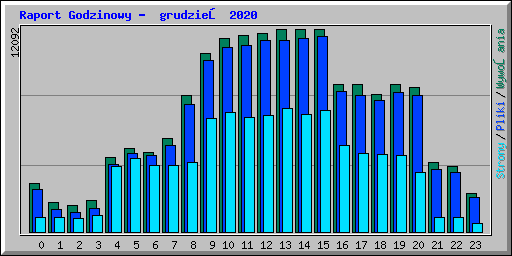 Raport Godzinowy -  grudzień 2020