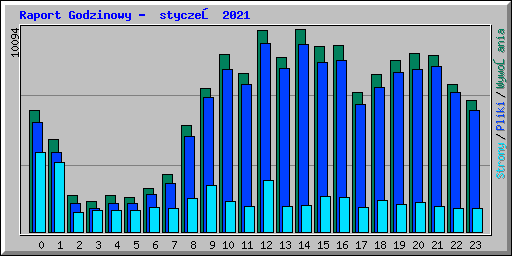 Raport Godzinowy -  styczeń 2021