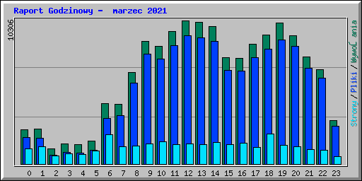 Raport Godzinowy -  marzec 2021