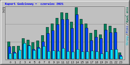 Raport Godzinowy -  czerwiec 2021