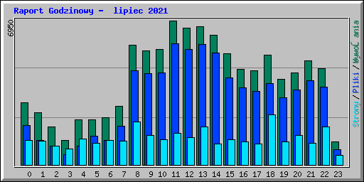 Raport Godzinowy -  lipiec 2021