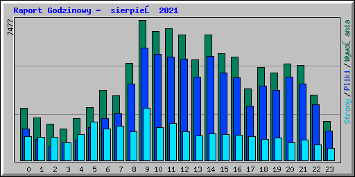Raport Godzinowy -  sierpień 2021