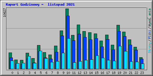 Raport Godzinowy -  listopad 2021