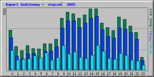 Raport Godzinowy -  styczeń 2022