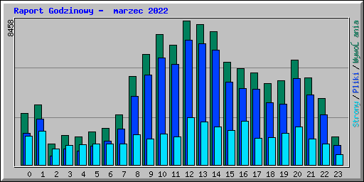 Raport Godzinowy -  marzec 2022