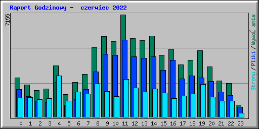 Raport Godzinowy -  czerwiec 2022