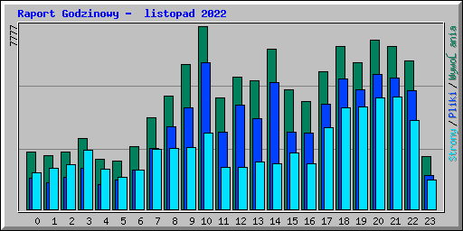 Raport Godzinowy -  listopad 2022