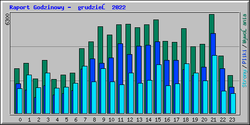 Raport Godzinowy -  grudzień 2022