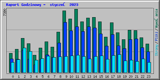 Raport Godzinowy -  styczeń 2023