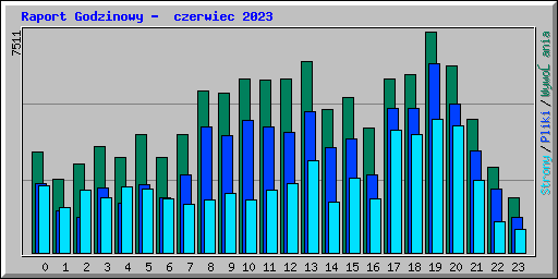 Raport Godzinowy -  czerwiec 2023