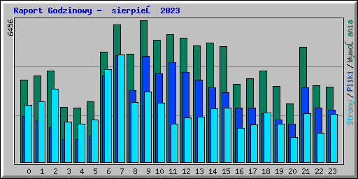 Raport Godzinowy -  sierpień 2023