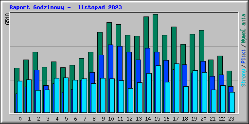 Raport Godzinowy -  listopad 2023