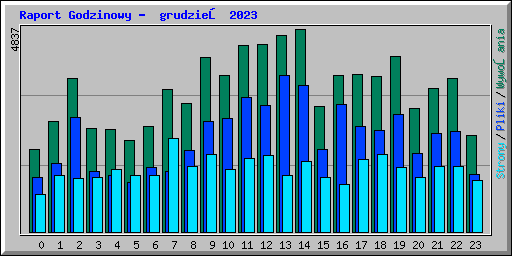 Raport Godzinowy -  grudzień 2023